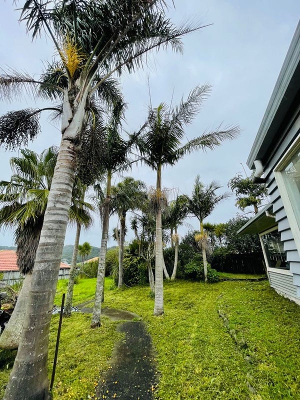 80A Glengarry Road, Glen Eden, Auckland - Carousel 2