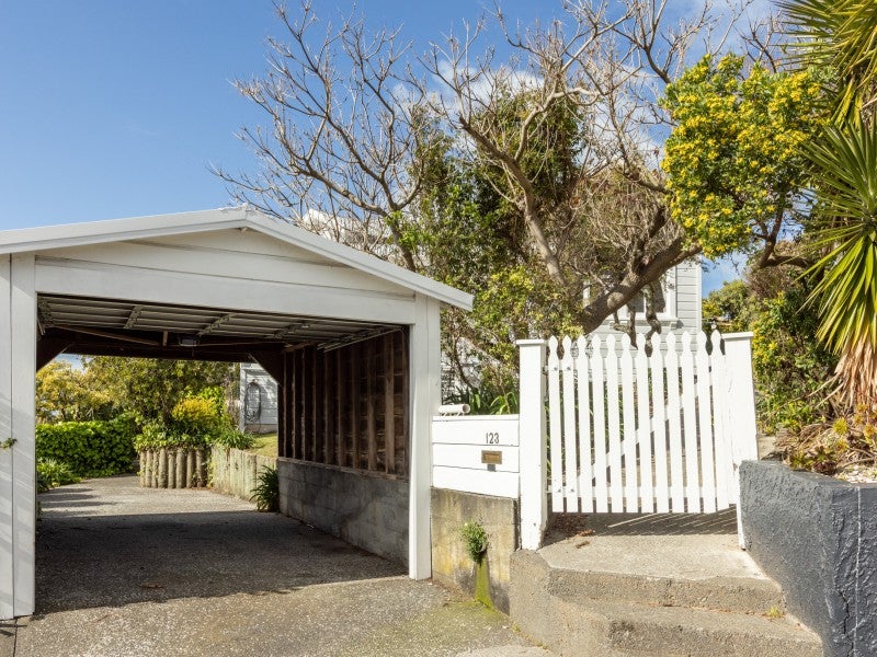 123 Chaucer Road North, Hospital Hill, Napier - Carousel 20