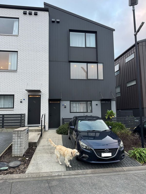 12/2 Rangitamiro Place, Hobsonville, Auckland - Carousel 1