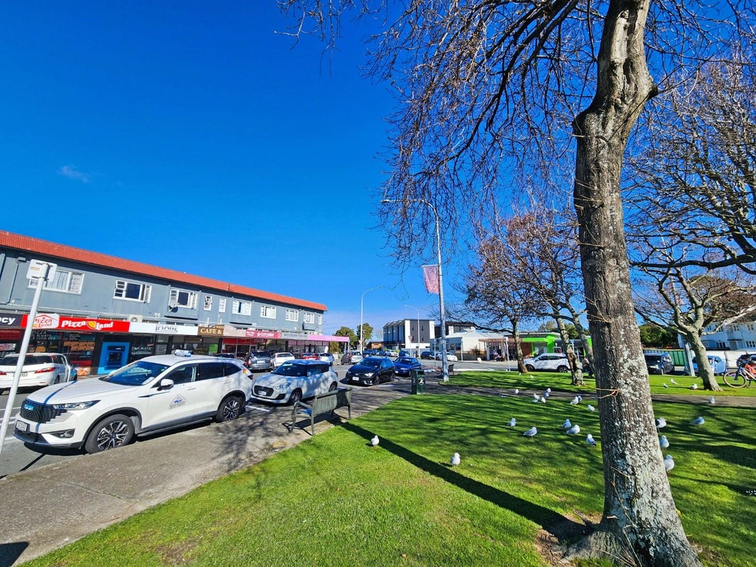 29A Collingwood Street, Waterloo, Lower Hutt - Carousel 16