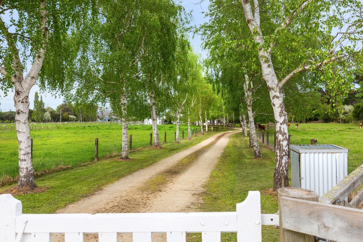 252 East Taratahi Road, East Taratahi - Carousel 44