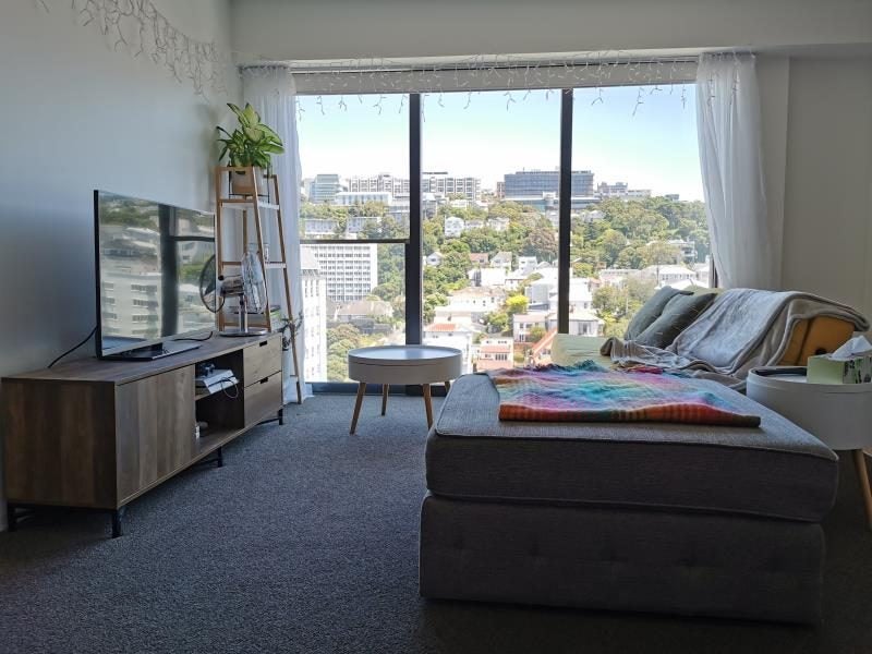 1704/111 Dixon Street, Te Aro, Wellington - Carousel 1