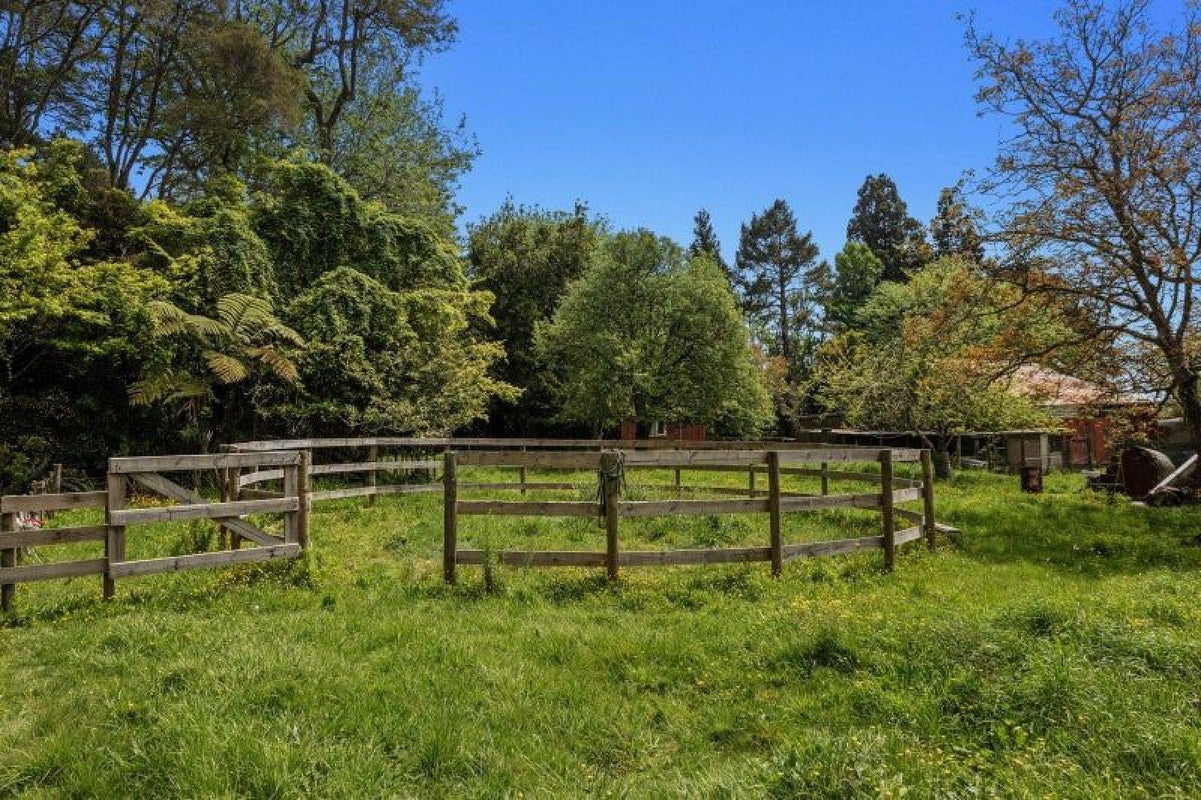 326B White Pine Bush Road, Poroporo, Whakatane - Carousel 24
