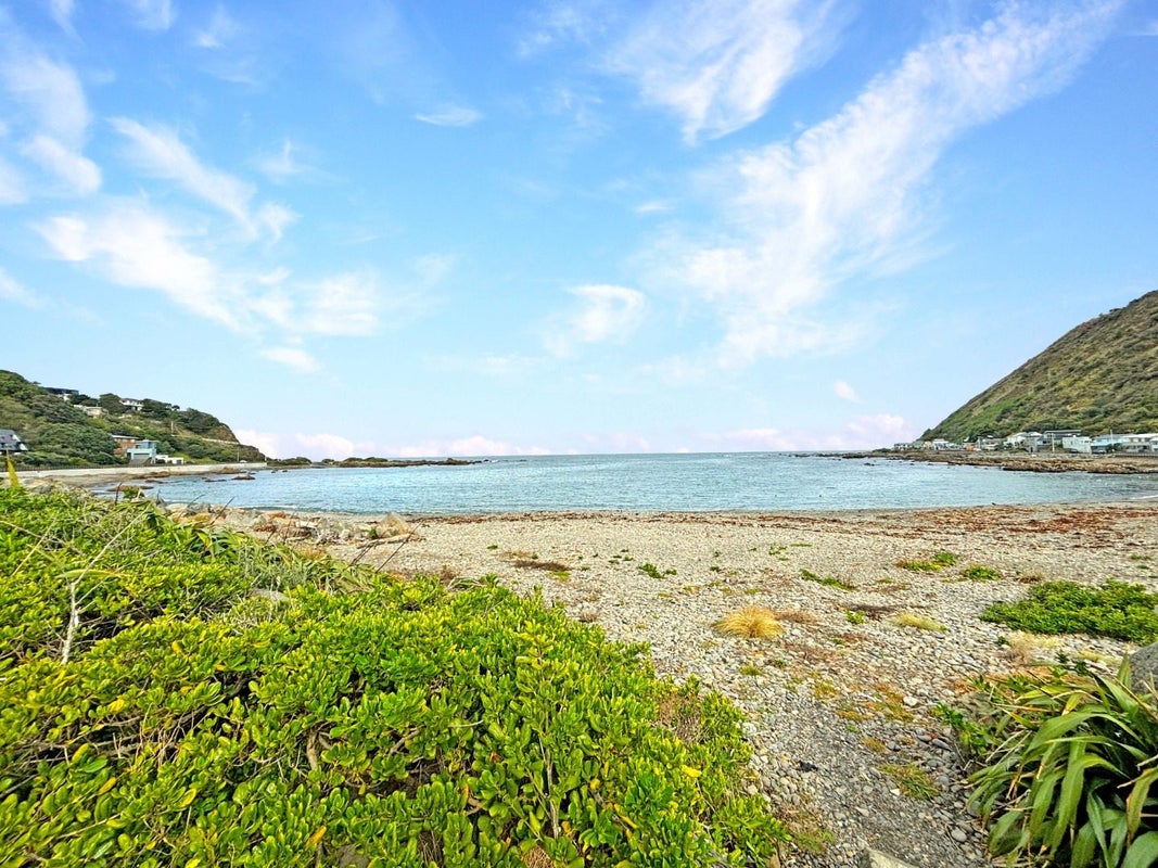 39 Happy Valley Road, Owhiro Bay, Wellington - Carousel 12