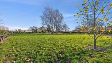 49D Rosebanks Drive, Hamilton - Carousel 1
