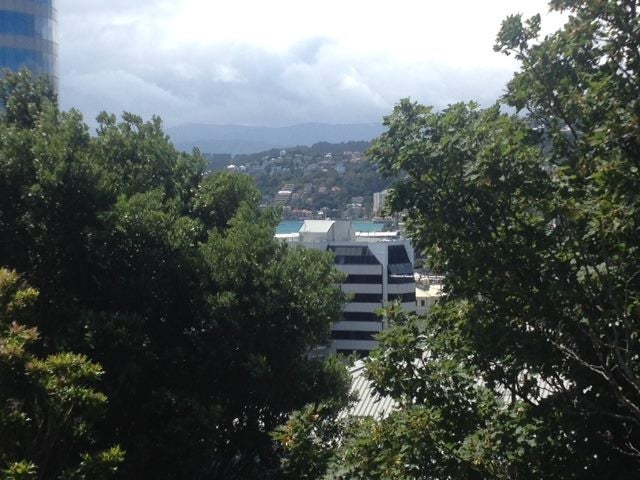 3/231 The Terrace, Wellington Central, Wellington - Carousel 2