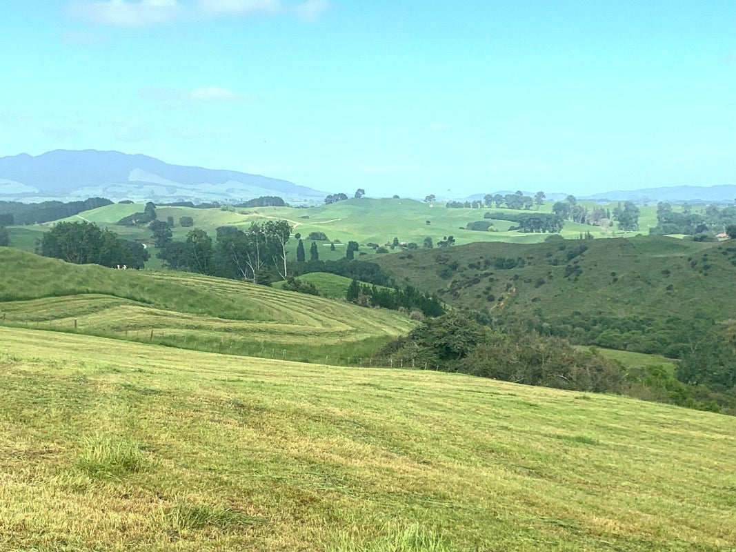 261 Paparamu Road, Piarere, Tirau - Carousel 2