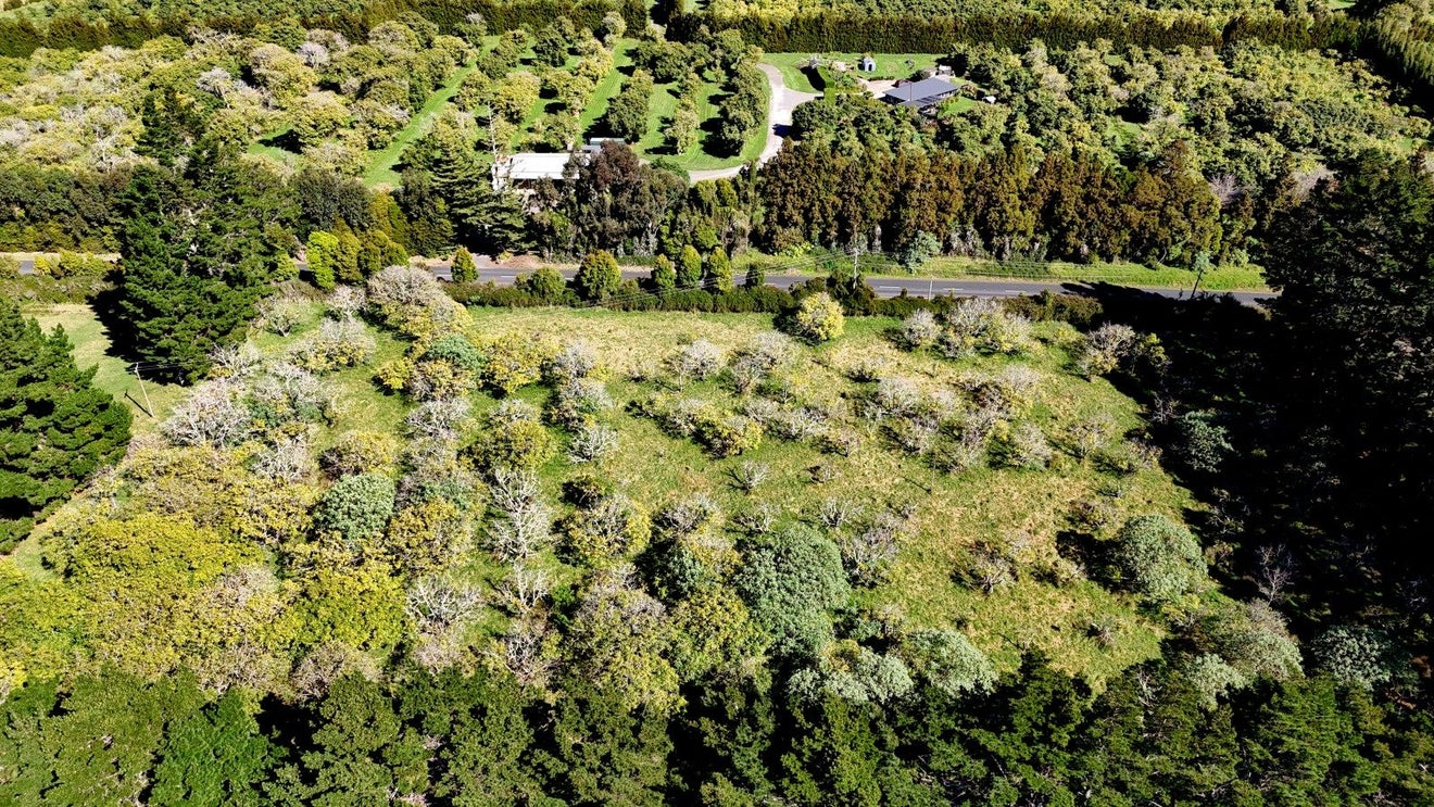 510 Tara Road, Mangawhai, Kaipara, Northland - Carousel 13