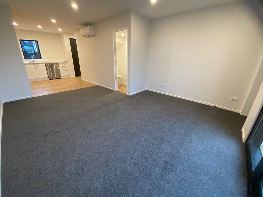 3/29 Wrights Road, Addington, Christchurch - Carousel 12