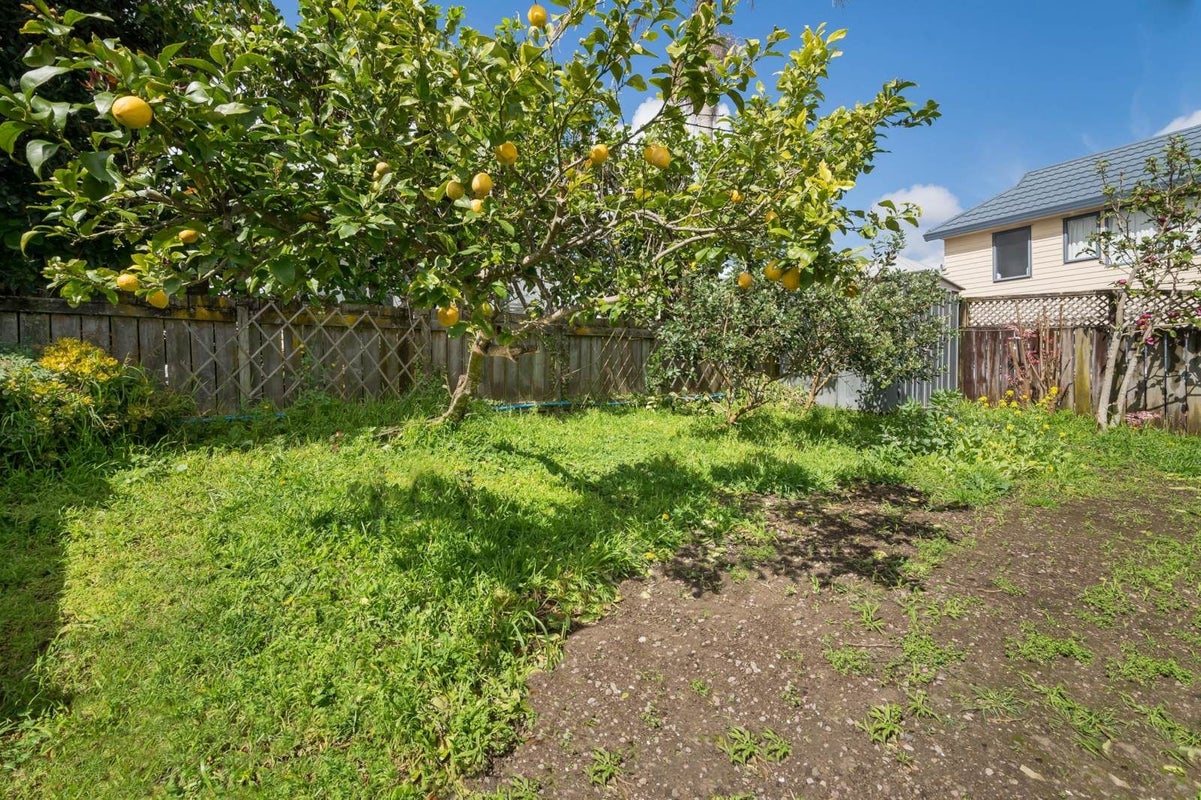 45A Morningside Drive, Mount Albert, Auckland - Carousel 13