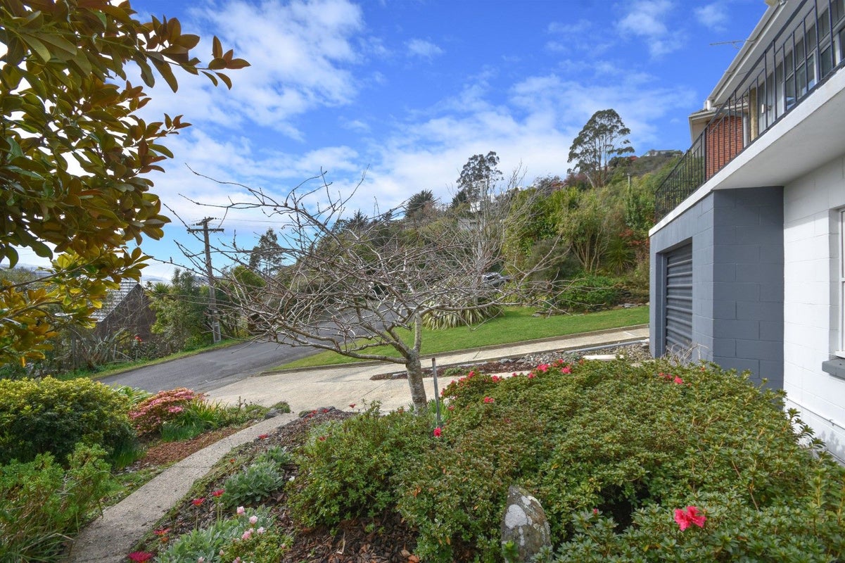 8 Irvine Road, The Cove, Dunedin - Carousel 38