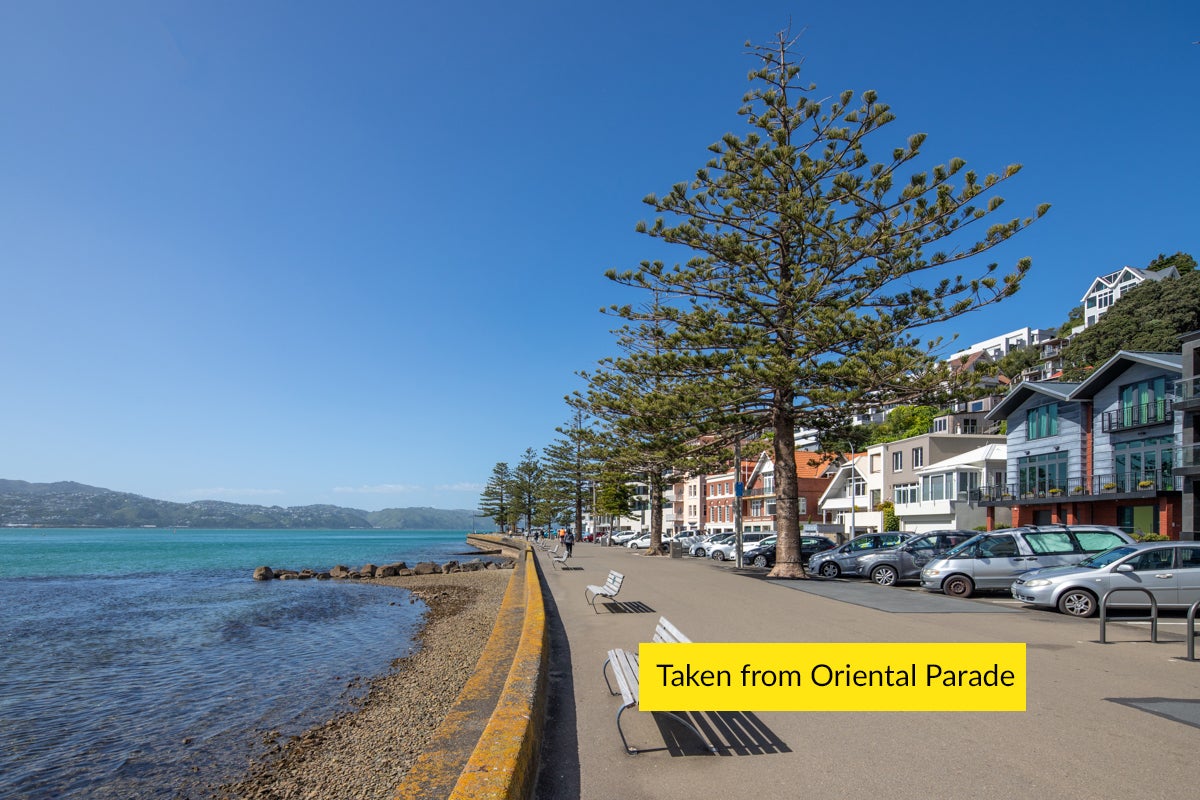 1 Grass Street, Oriental Bay, Wellington - Carousel 23