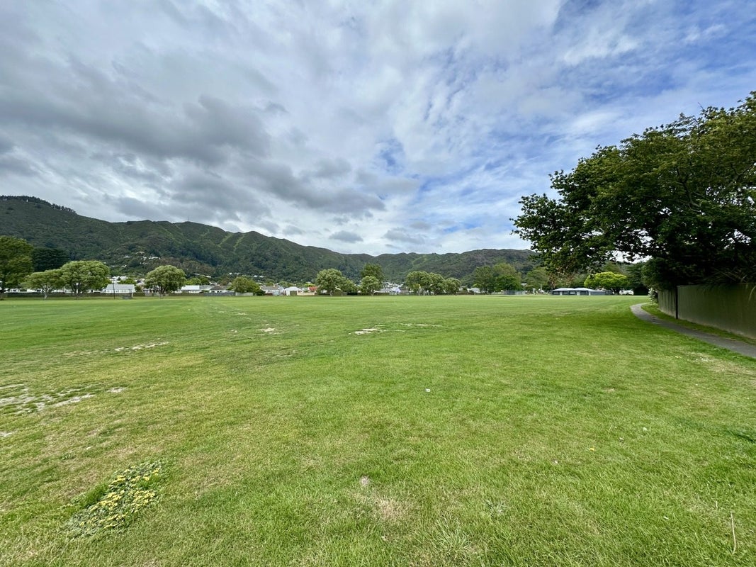 17 Gibson Crescent, Naenae, Lower Hutt - Carousel 21