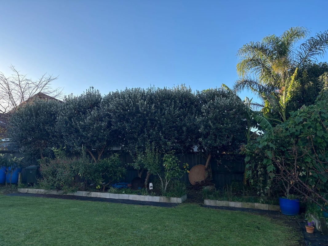 14 Liffey Drive, East Tamaki, Auckland - Carousel 16