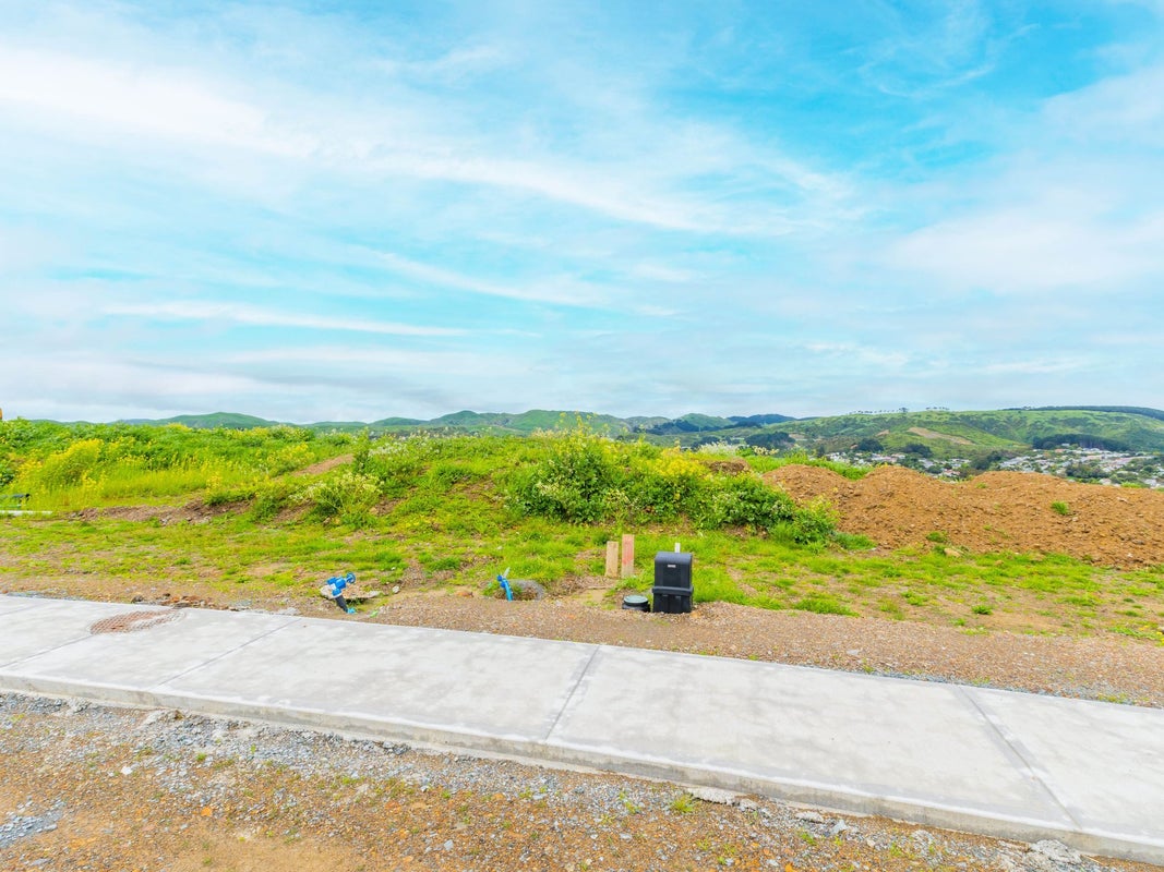 203 John Burke Drive, Aotea, Porirua - Carousel 24