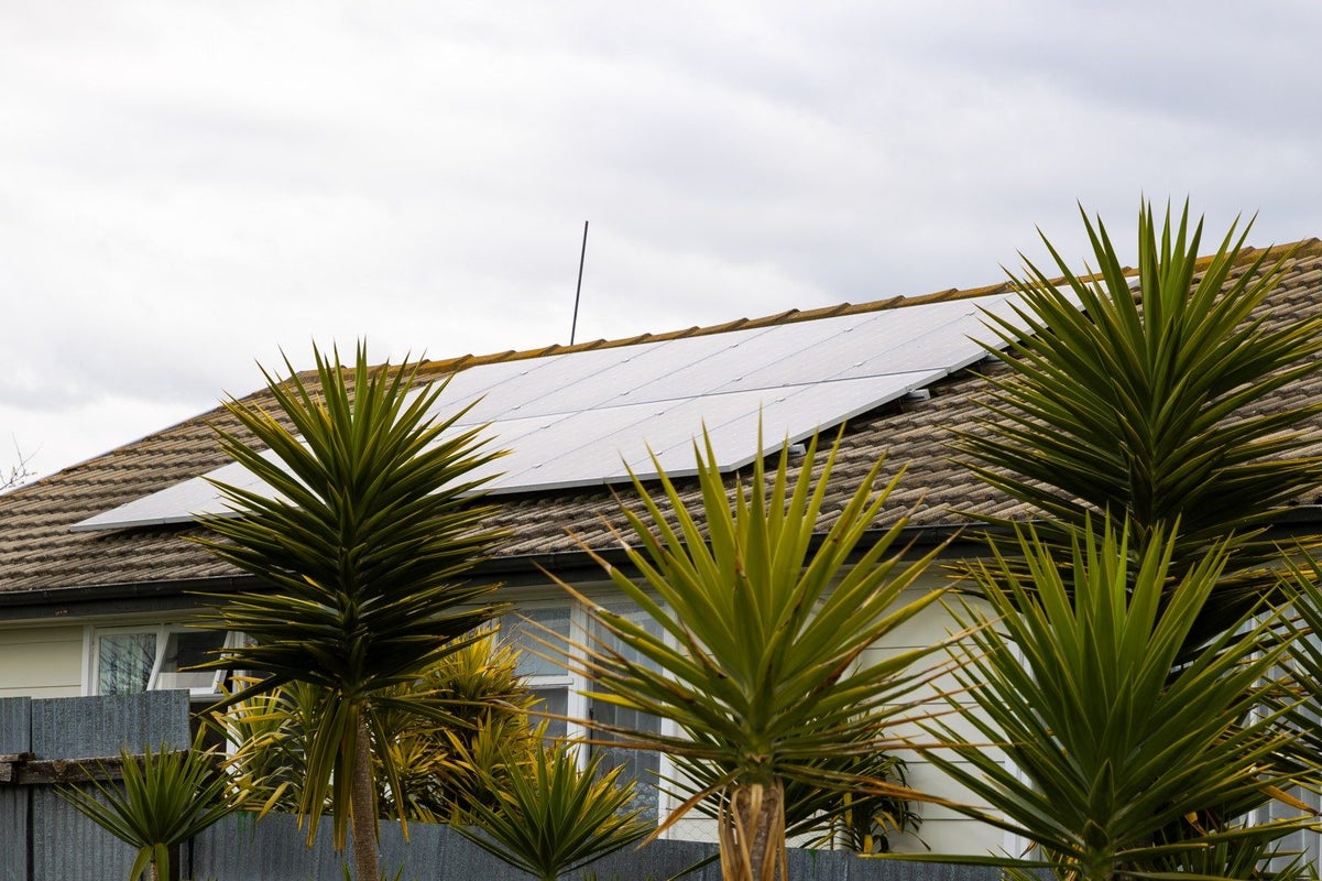 36 Curling Crescent, Onekawa, Napier - Carousel 20
