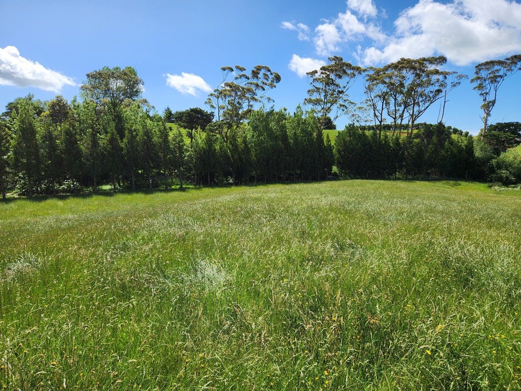 118 Wrights Road, RAGLAN, Raglan - Carousel 1