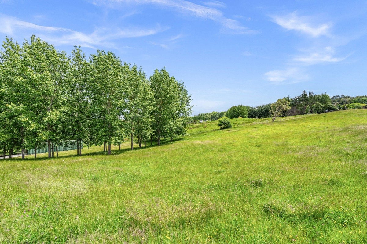 1605C State Highway 12, Paparoa - Carousel 13