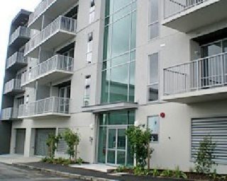 2D/20 Charlotte Street, Eden Terrace, Auckland - Carousel 1