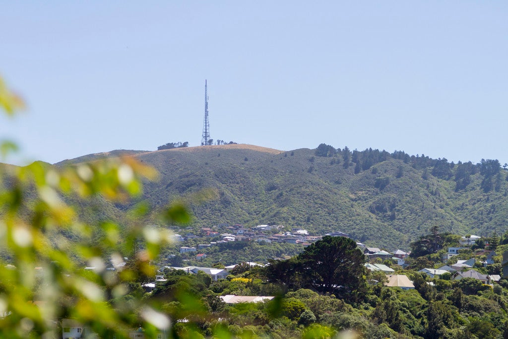 46 Hanover Street, Wadestown, Wellington - Carousel 20