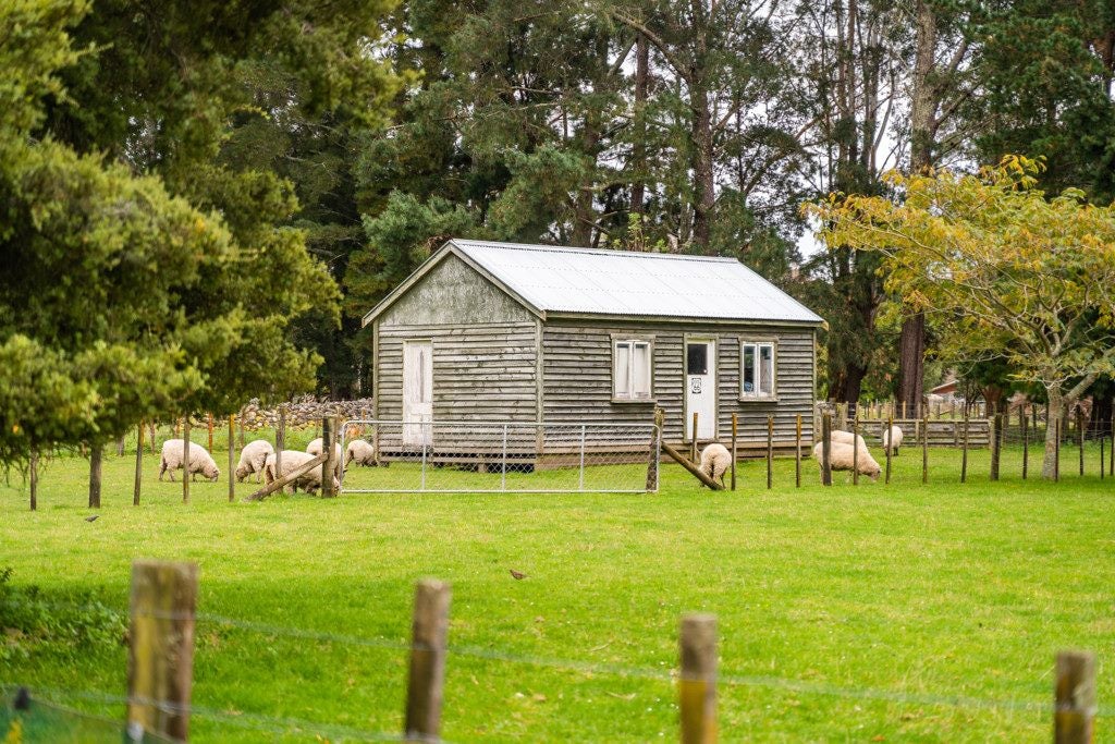 80 Tararua Drive, Upper Plain, Masterton - Carousel 33