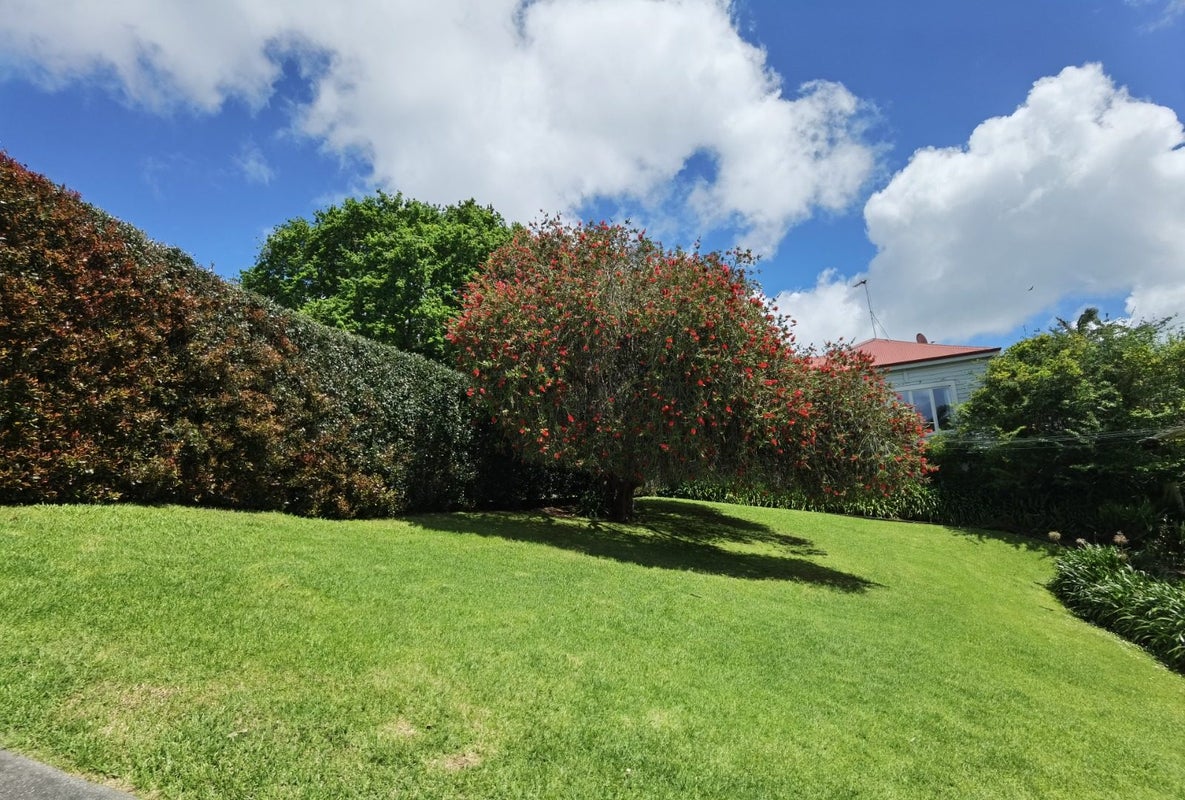 5/67 Second Avenue, Kingsland, Auckland - Carousel 2