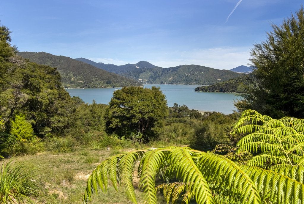 0 Orapito Road, Kaiuma Bay, Havelock - Carousel 1