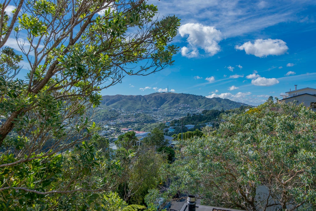 29 Edgeware Road, Wilton, Wellington - Carousel 16