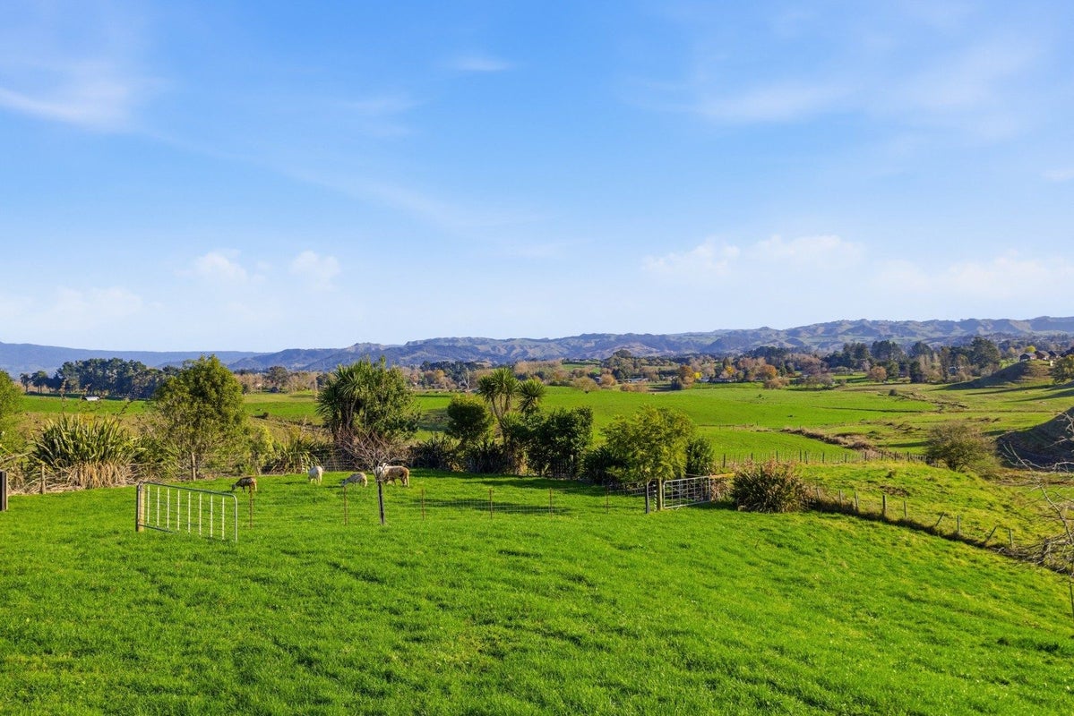 64 Bowman Road, Whatawhata, Hamilton - Carousel 34
