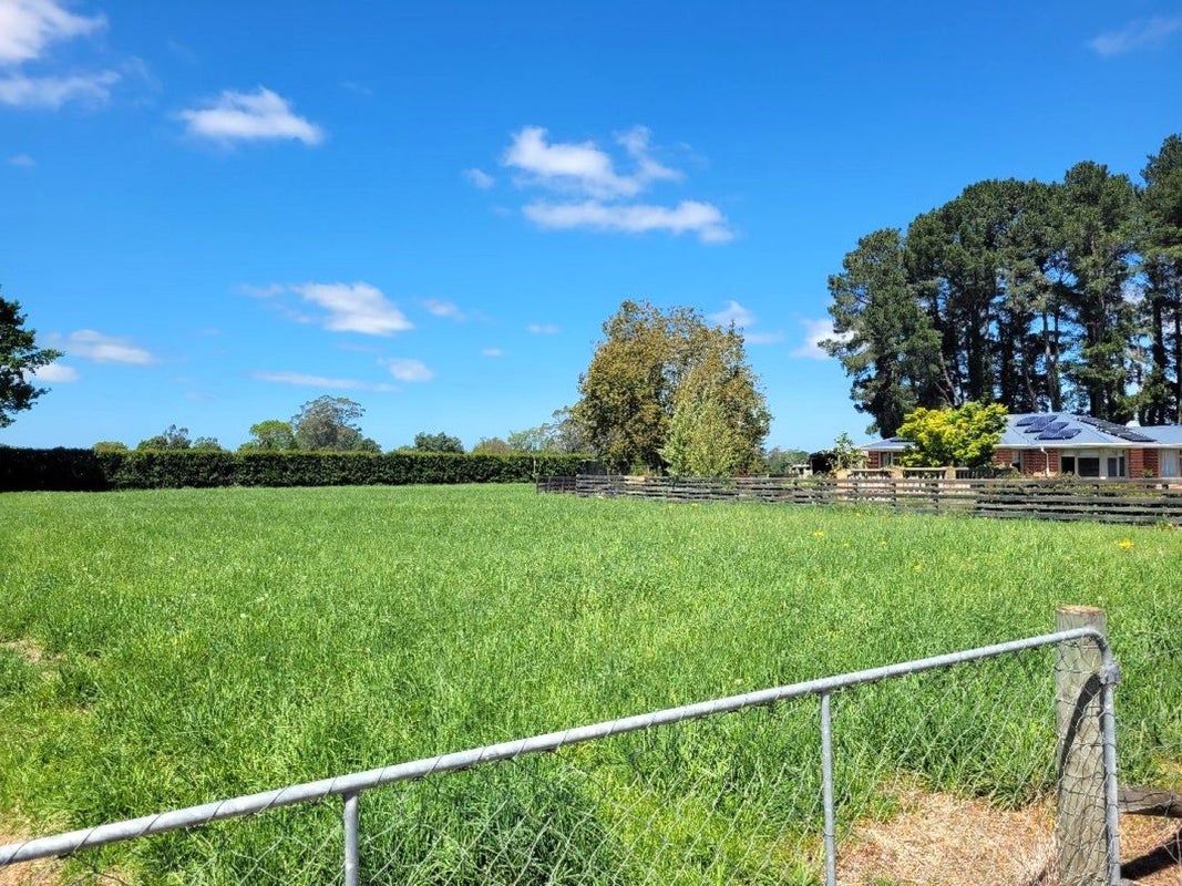 954 Temuka - Orari Highway, ORARI, TEMUKA - Carousel 2