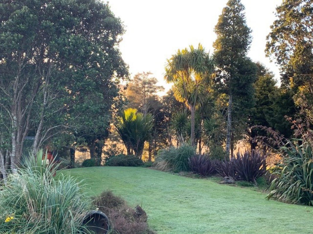 128D Otonga Valley Road, Raglan, Raglan - Carousel 21