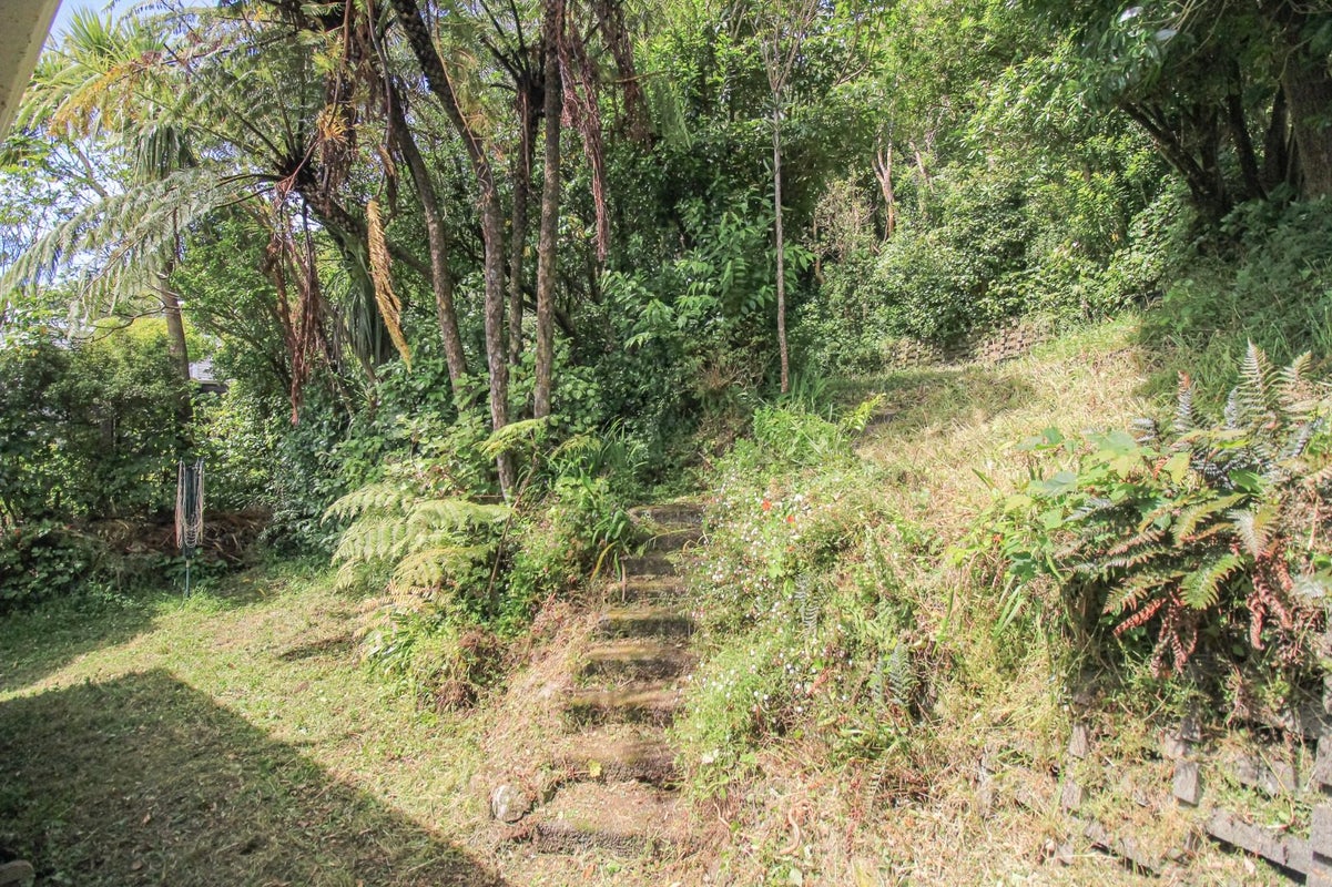 88 Pembroke Road, Northland, Wellington - Carousel 21