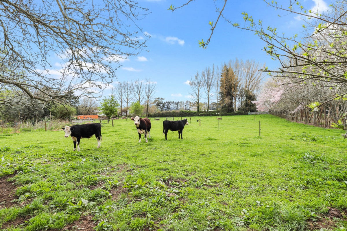 552 Te Kowhai Road, Te Kowhai - Carousel 25