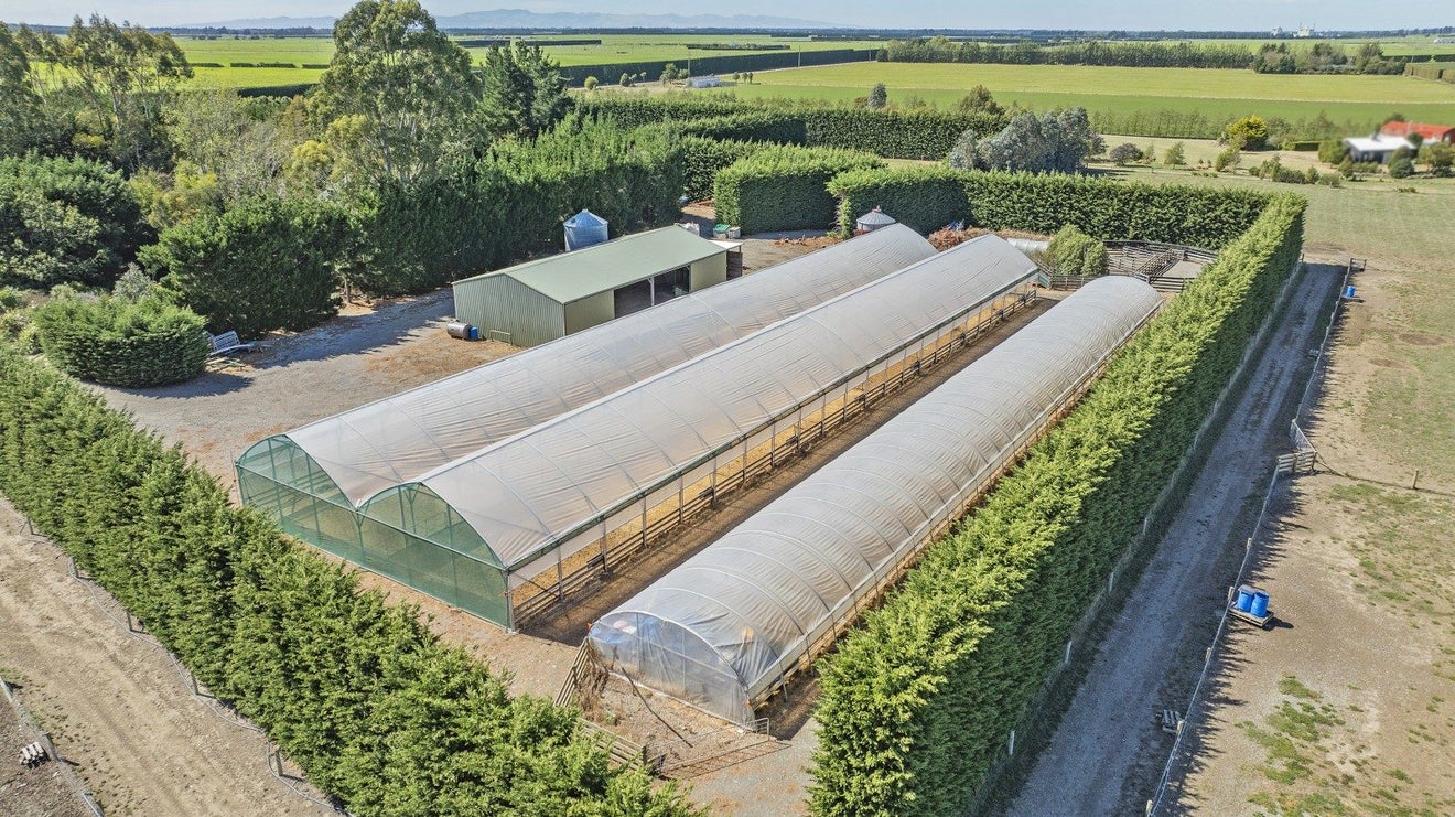 391 Sharlands Road, Dunsandel, Rakaia - Carousel 2