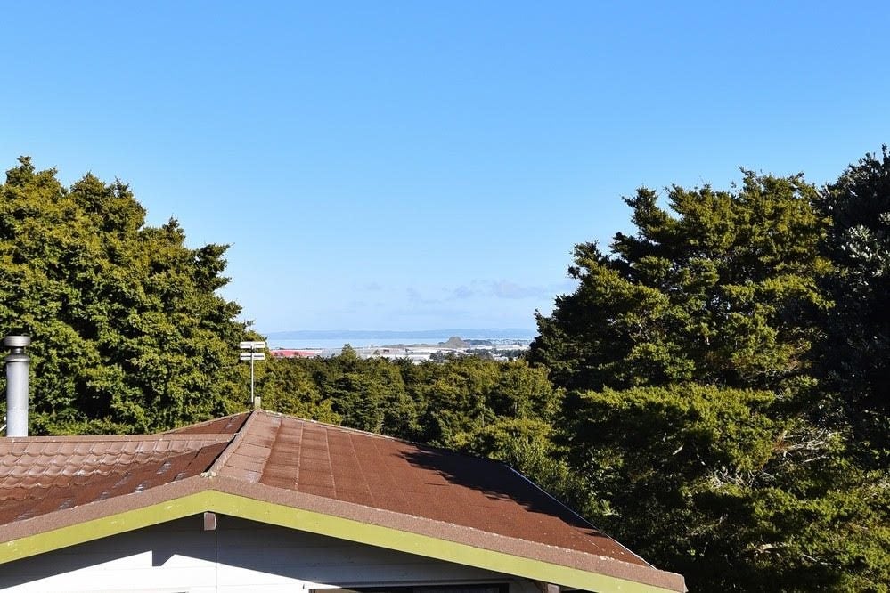 18 Paulownia Place, Totara Heights, Auckland - Carousel 18