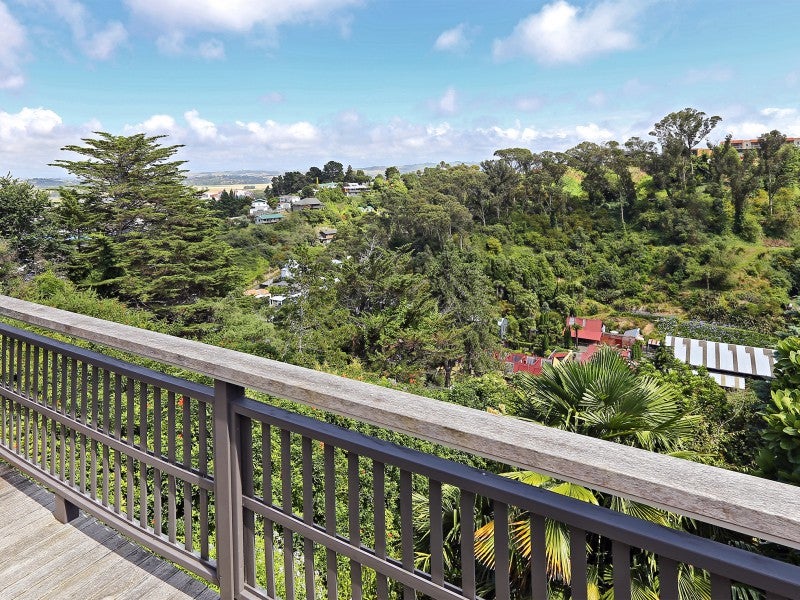 20 Simla Terrace, Hospital Hill, Napier - Carousel 1
