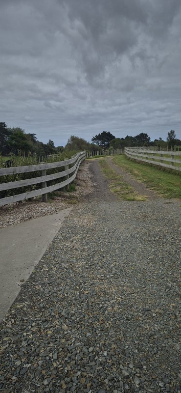 47 Codlin Road, Waiuku - Carousel 17
