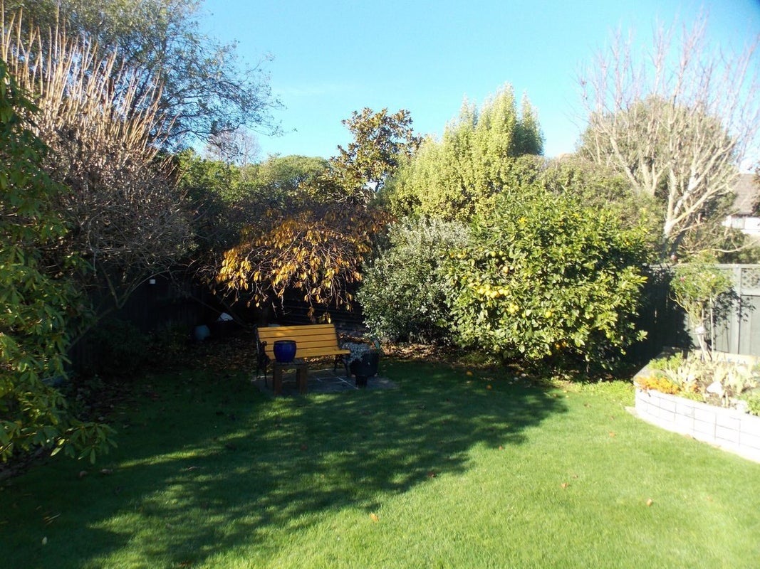 53 Clarke Avenue, Highbury, Palmerston North - Carousel 21