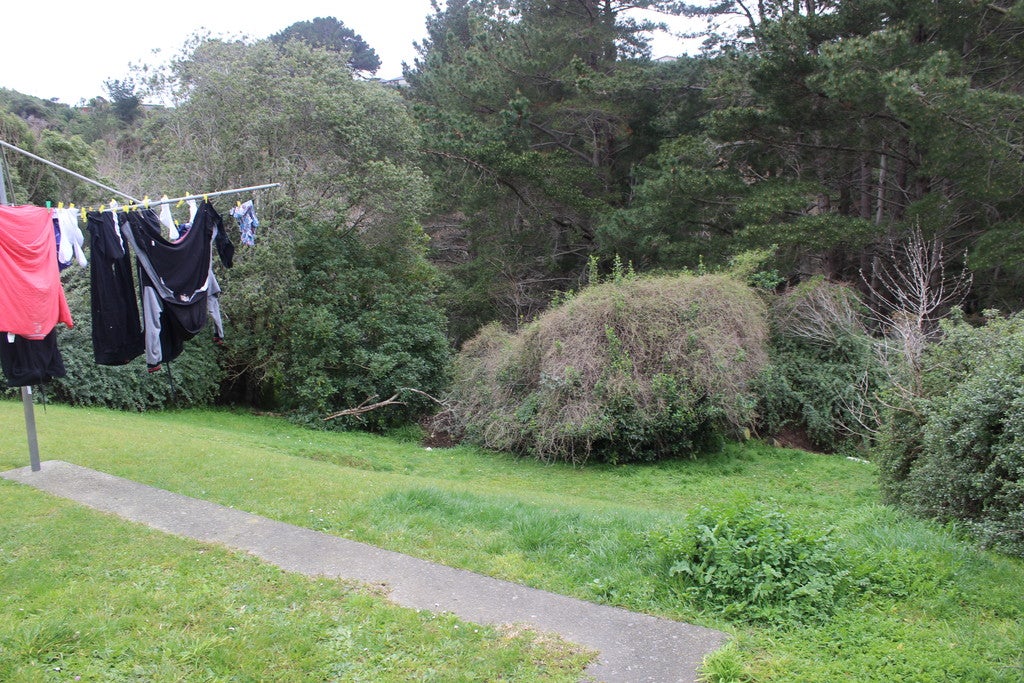14 Bellona Place, Cannons Creek, Porirua - Carousel 10