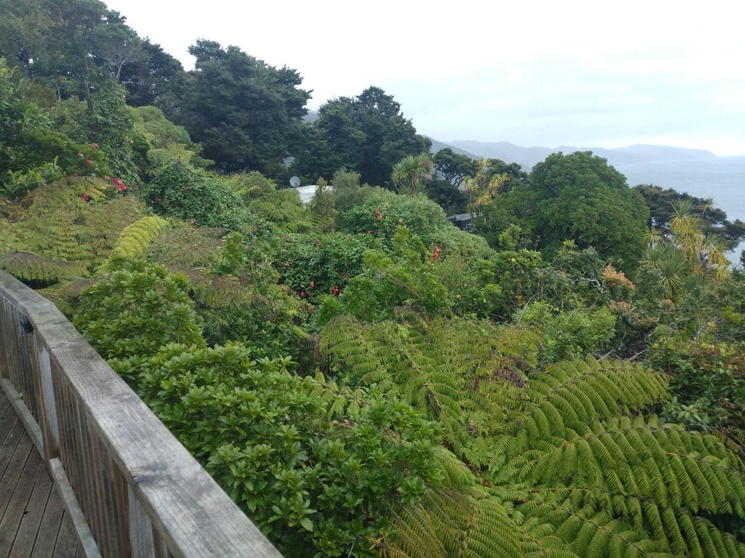 52 Howard Road, Point Howard, Lower Hutt - Carousel 18