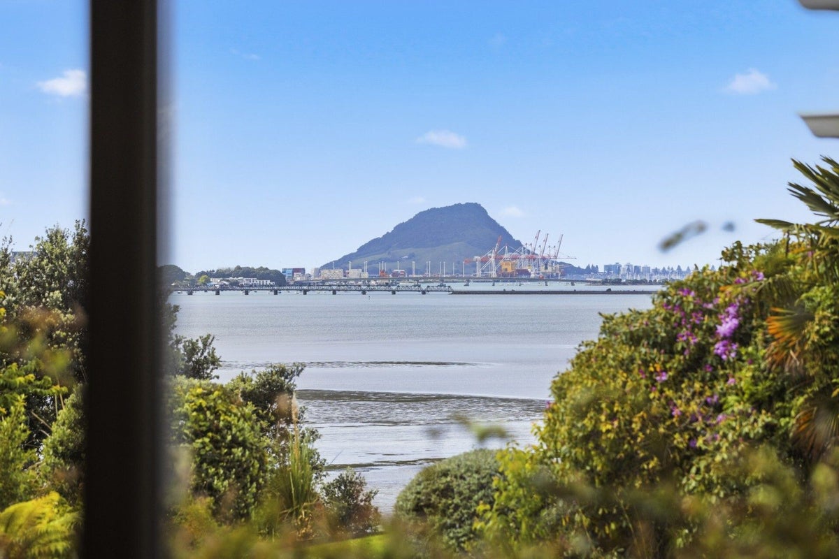 244 Maungatapu Road, Maungatapu, Tauranga - Carousel 1