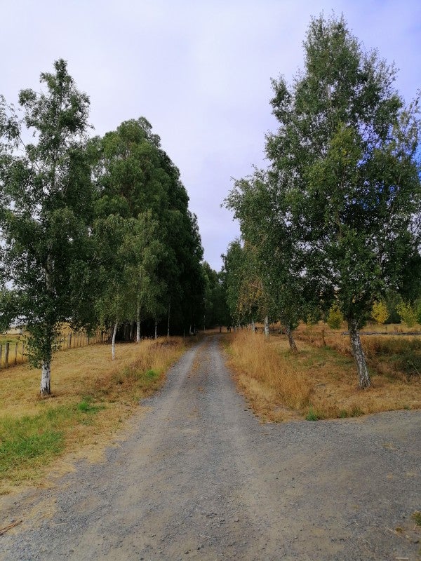272 Homewood Road, Otane - Carousel 2