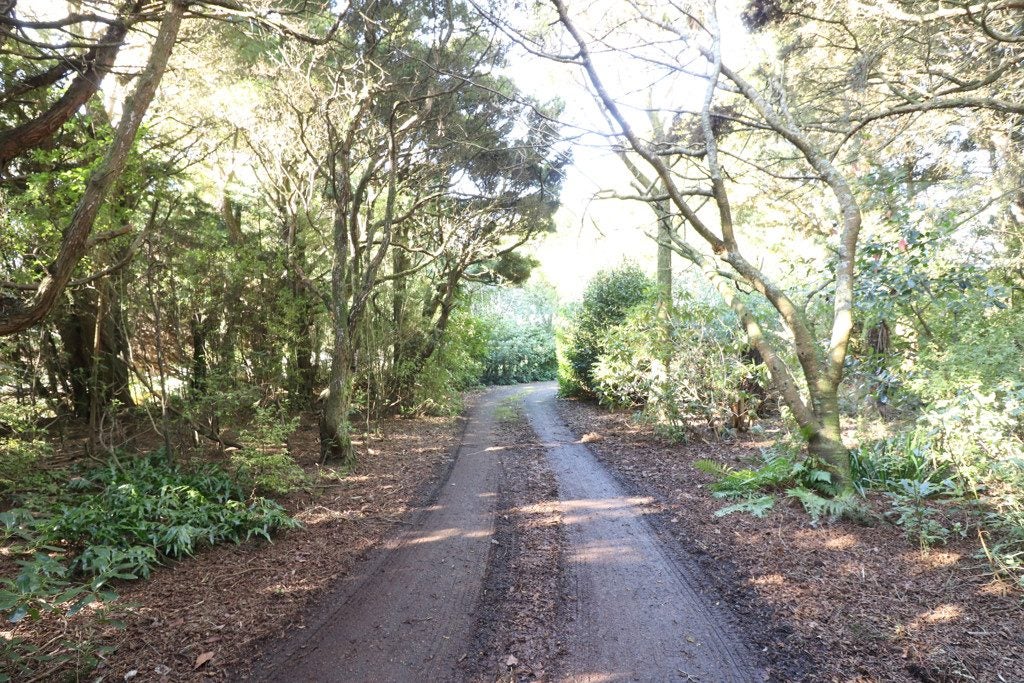67 Matua Road, Otatara - Carousel 38