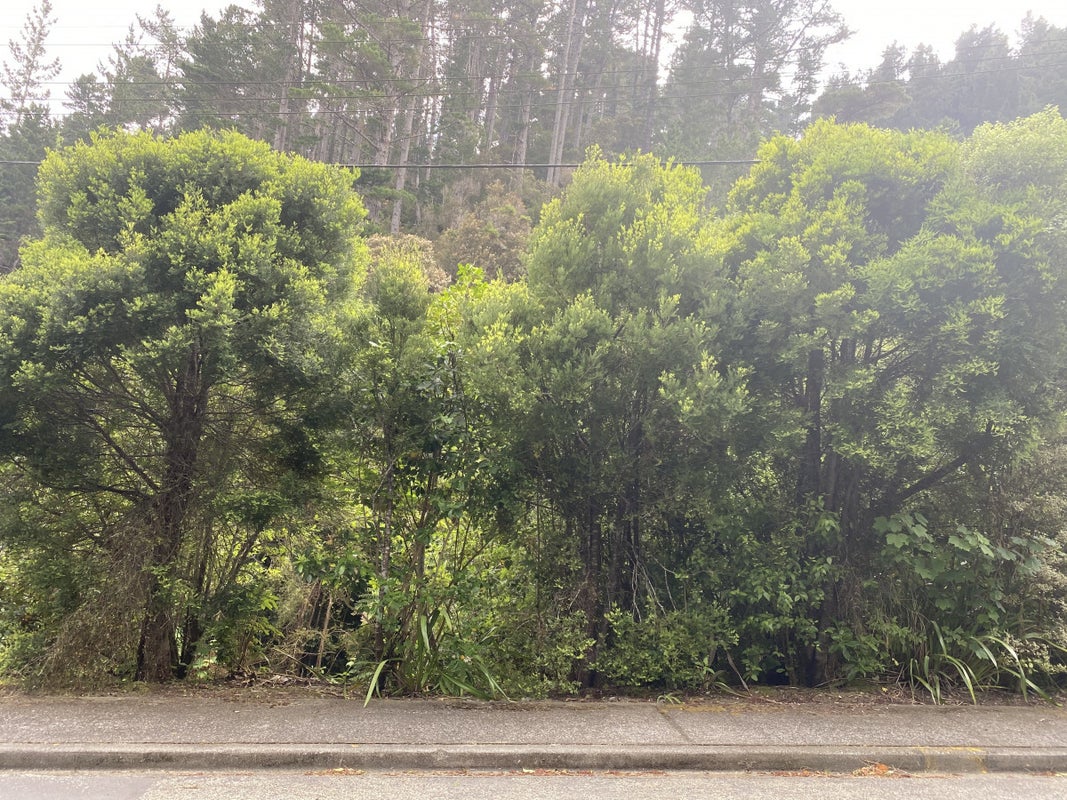 75 Elmslie Road, Pinehaven, Upper Hutt - Carousel 4