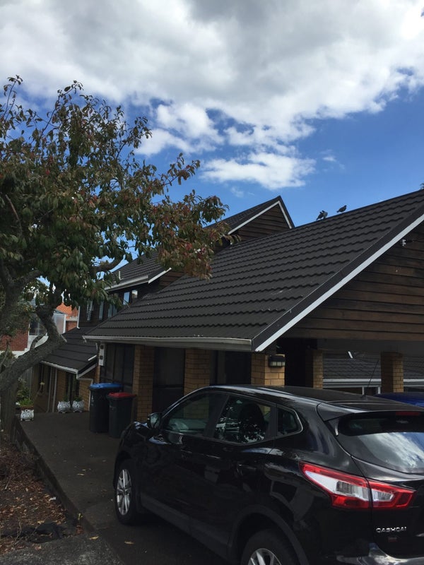 24A Olsen Avenue, Hillsborough, Auckland - Carousel 2