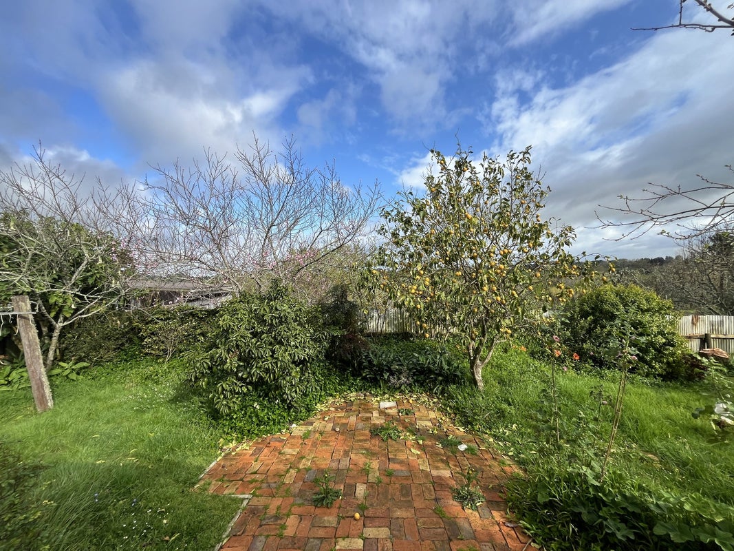 787 Runciman Road, Runciman, Drury - Carousel 27