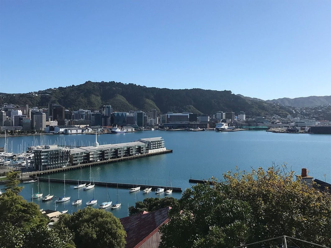 57 Hawker Street, Mount Victoria, Wellington - Carousel 31