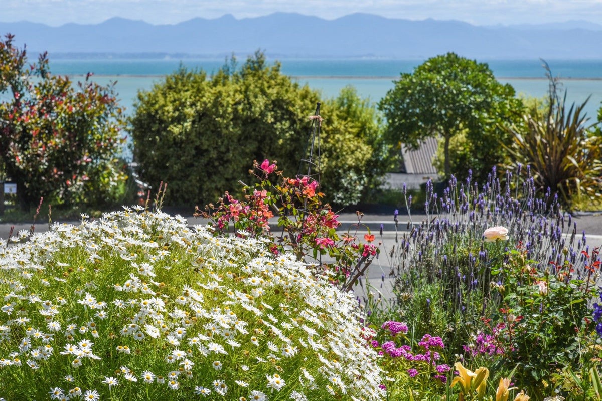 2 Ruffell Place, Atawhai, Nelson - Carousel 34