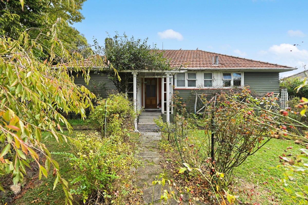 61 Holland Road, Fairfield, Hamilton - Carousel 1