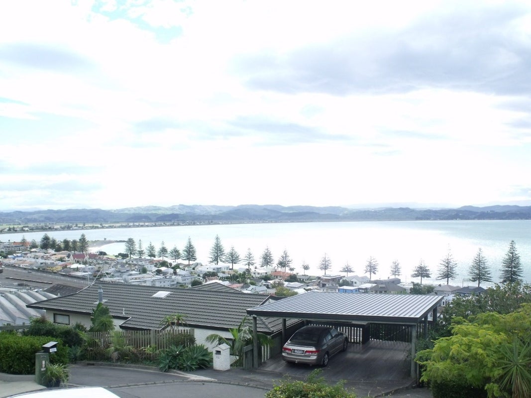 23 Roslyn Road, Bluff Hill, Napier - Carousel 1